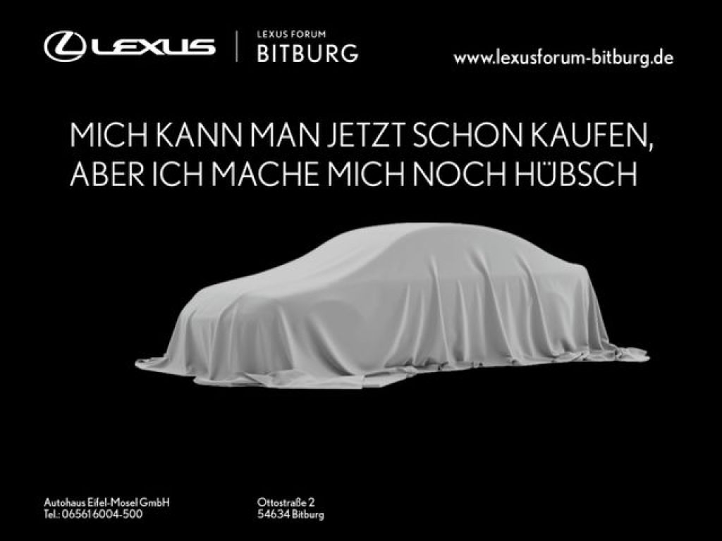 Lexus UX bei Sportwagen.expert - Hauptabbildung