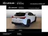 Lexus UX bei Sportwagen.expert - Abbildung (4 / 15)