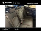 Lexus UX bei Sportwagen.expert - Abbildung (7 / 15)