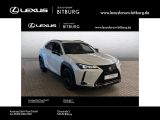 Lexus UX bei Sportwagen.expert - Abbildung (5 / 15)