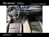 Lexus UX bei Sportwagen.expert - Abbildung (8 / 15)