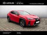 Lexus UX bei Sportwagen.expert - Abbildung (5 / 15)