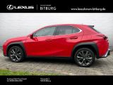 Lexus UX bei Sportwagen.expert - Abbildung (2 / 15)