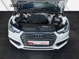 Audi A4 bei Sportwagen.expert - Abbildung (14 / 15)