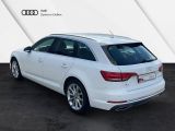 Audi A4 bei Sportwagen.expert - Abbildung (3 / 15)