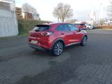 Ford Puma bei Sportwagen.expert - Abbildung (2 / 15)