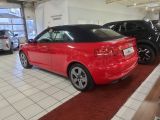 Audi A3 Cabriolet bei Sportwagen.expert - Abbildung (9 / 12)