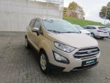 Ford EcoSport bei Sportwagen.expert - Abbildung (6 / 15)