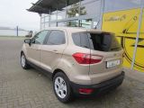 Ford EcoSport bei Sportwagen.expert - Abbildung (3 / 15)