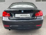 BMW 2er bei Sportwagen.expert - Abbildung (5 / 15)