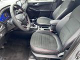 Ford Kuga bei Sportwagen.expert - Abbildung (11 / 15)