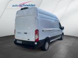 Ford FT350 bei Sportwagen.expert - Abbildung (4 / 13)