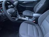 Ford Kuga bei Sportwagen.expert - Abbildung (10 / 15)