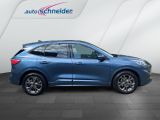 Ford Kuga bei Sportwagen.expert - Abbildung (4 / 15)