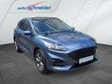 Ford Kuga bei Sportwagen.expert - Abbildung (3 / 15)