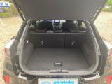 Ford Puma bei Sportwagen.expert - Abbildung (13 / 15)