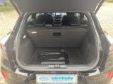 Ford Puma bei Sportwagen.expert - Abbildung (14 / 15)