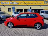 Skoda Fabia bei Sportwagen.expert - Abbildung (6 / 15)