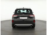 Ford Kuga bei Sportwagen.expert - Abbildung (4 / 15)