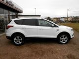 Ford Kuga bei Sportwagen.expert - Abbildung (5 / 15)