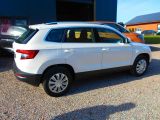 Skoda Karoq bei Sportwagen.expert - Abbildung (3 / 8)