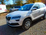 Skoda Karoq bei Sportwagen.expert - Abbildung (2 / 8)