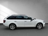 Skoda Octavia bei Sportwagen.expert - Abbildung (5 / 15)