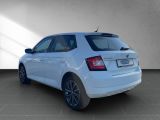 Skoda Fabia III bei Sportwagen.expert - Abbildung (10 / 15)