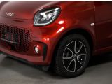 Smart smart fortwo bei Sportwagen.expert - Abbildung (12 / 15)