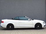 Audi A5 Cabriolet bei Sportwagen.expert - Abbildung (4 / 15)