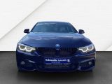 BMW 4er bei Sportwagen.expert - Abbildung (5 / 15)