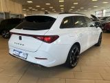 Cupra Leon bei Sportwagen.expert - Abbildung (6 / 15)