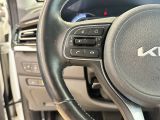 Kia Niro bei Sportwagen.expert - Abbildung (15 / 15)