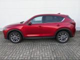 Mazda CX 5 bei Sportwagen.expert - Abbildung (3 / 15)