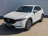 Mazda CX 5 bei Sportwagen.expert - Abbildung (2 / 15)