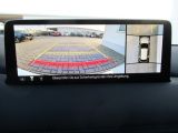 Mazda CX 5 bei Sportwagen.expert - Abbildung (4 / 14)