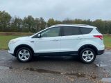 Ford Kuga bei Sportwagen.expert - Abbildung (2 / 15)