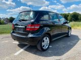 Mercedes-Benz B-Klasse bei Sportwagen.expert - Abbildung (6 / 15)