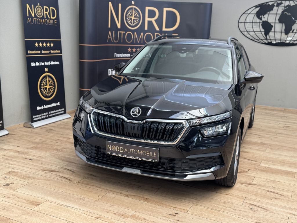 Skoda Kamiq bei Sportwagen.expert - Hauptabbildung Skoda Kamiq bei Sportwagen.expert - Hauptabbildung