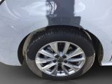 VW T7 Multivan bei Sportwagen.expert - Abbildung (14 / 15)