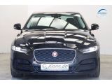 Jaguar XE bei Sportwagen.expert - Abbildung (2 / 15)