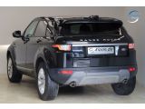 Land Rover Range Rover Evoque bei Sportwagen.expert - Abbildung (4 / 15)