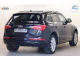 Audi Q5 bei Sportwagen.expert - Abbildung (6 / 15)