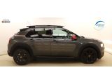 Citroen C4 Cactus bei Sportwagen.expert - Abbildung (4 / 15)