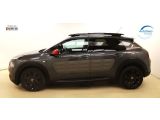 Citroen C4 Cactus bei Sportwagen.expert - Abbildung (5 / 15)