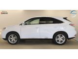 Lexus RX bei Sportwagen.expert - Abbildung (4 / 15)