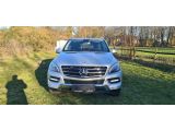 Mercedes-Benz M-Klasse bei Sportwagen.expert - Abbildung (2 / 15)