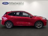 Ford Kuga bei Sportwagen.expert - Abbildung (3 / 15)