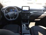 Ford Kuga bei Sportwagen.expert - Abbildung (11 / 15)