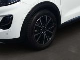 Ford Puma bei Sportwagen.expert - Abbildung (4 / 15)